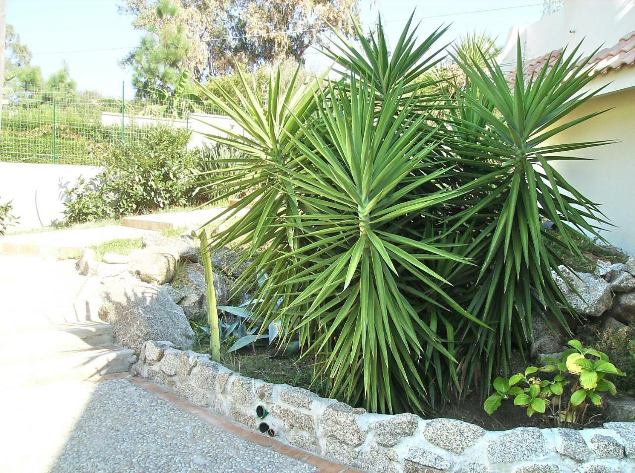 אפרטהוטל זמברונה Residenza Marinella מראה חיצוני תמונה